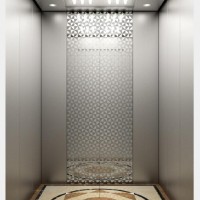 Syney Standard Stainless Steel Passenger Elevator (16K023)