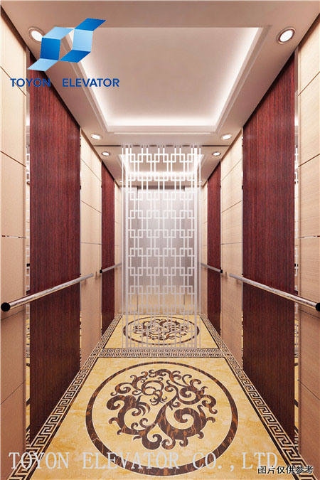Toyon Residential Villa Elevator, Passenger Elevator, Vvvf Elevator Image1