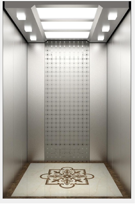 Syney Passenger Elevator with Special Design (16K026) Image1