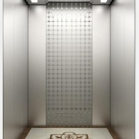 Syney Passenger Elevator with Special Design (16K026)