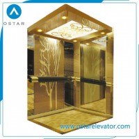 800kg 1.0m/S Luxurious Decoration Passenger Elevator Cost