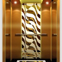 Fashion Elevator Lift Passenger Cabin, Elevator Machine