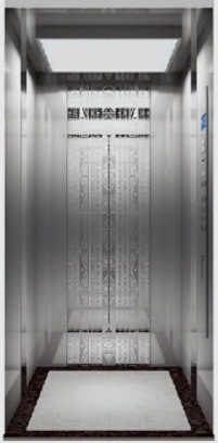 Small Size Passenger Elevator of Mini Elevator Image1