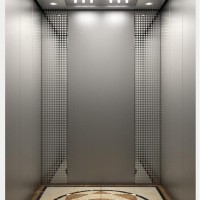 Syney Passenger Elevator with Small Machine Room (16K024)