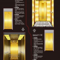 Full Collective Passenger Elevator with Luxury Decoration