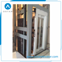 630kg 0.75m/S Glass Lift Cabin Passenger Elevator Price