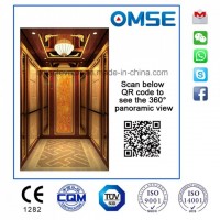 Good Quality Passenger Elevator with Competitive Price Machine-Room-Less Low Noise