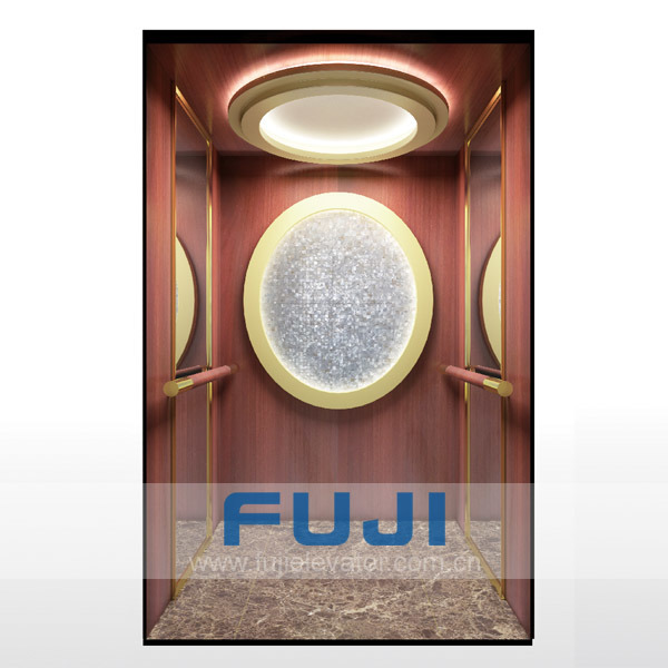 FUJI New Design 800kg Passenger Elevators for Sale Image1