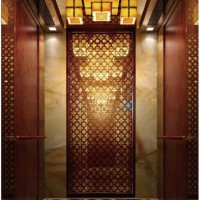 Hot Sale Passenger Elevator for Hotel