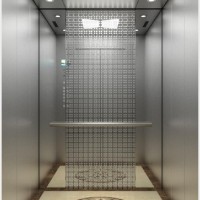 Passenger Elevator with Hairline Etching Stainless Steel (16K019)