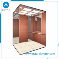 Small Machine Room Passenger Elevator with Beautiful Cabin Design