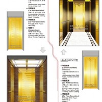 Passenger Elevator with Luxury Decoration for Hotel or Office