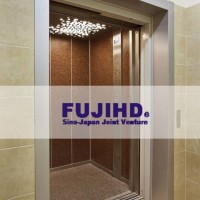 Passenger Elevator for Commercial Building; Shopping Center; Homes