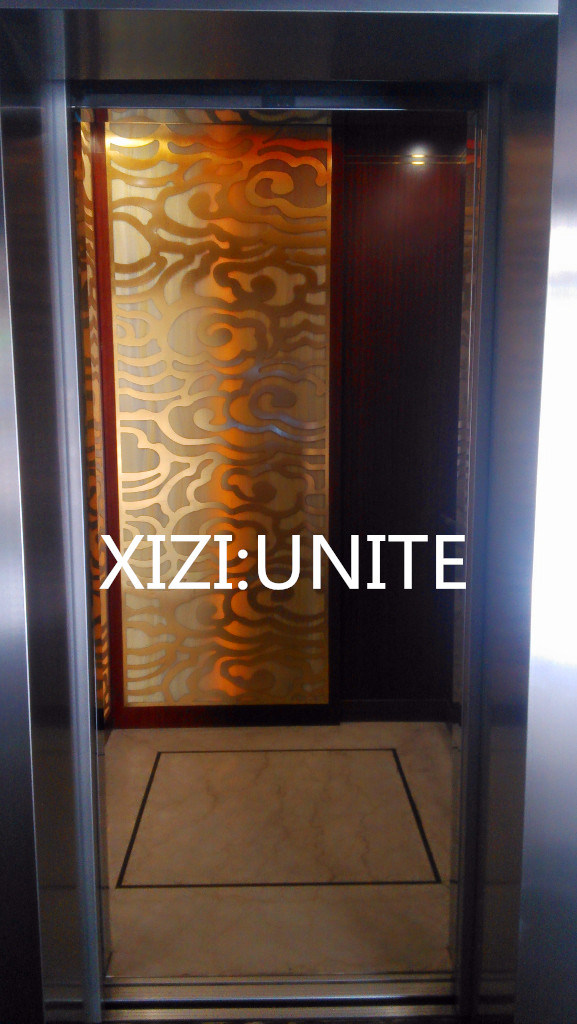 8 Person Cheap Passenger Elevator Lift Price, Food Elevator, Used Elevator Image1
