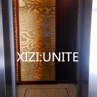 8 Person Cheap Passenger Elevator Lift Price, Food Elevator, Used Elevator