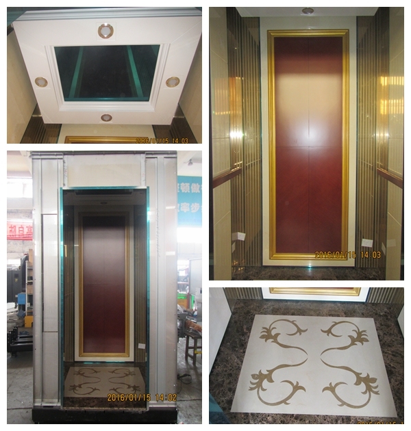 Cheap Price 630kgs Passenger Elevator Cabin Image1