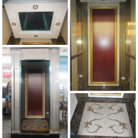 Cheap Price 630kgs Passenger Elevator Cabin