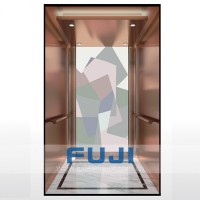 FUJI 800kg Passenger Elevator Used for 10 Persons
