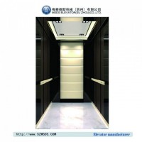 Residential Passenger Elevator Machine Room Lift (Ms-Kj010)