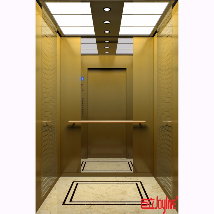 Joylive Low Cost Customized Passenger Home Elevator Image1