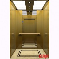 Joylive Low Cost Customized Passenger Home Elevator