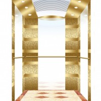 1600kg Passenger Elevator with Golden Etching Finish (XNK-002)