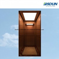 320 Kg Manual Passenger Home Elevator
