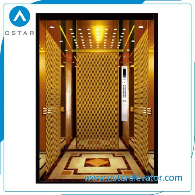 450~1000kg Machine Roomless Lift Passenger Elevator with Mirror Etching Cabin Image1