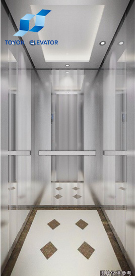 Toyon Passenger Elevator for Residential and Home Lift Image1
