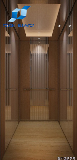 Toyon Commercial Passenger Elevator for Home Lift Image1