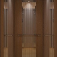 Toyon Commercial Passenger Elevator for Home Lift