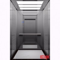 Elevator Type and Building Passenger Lift Elevator Price