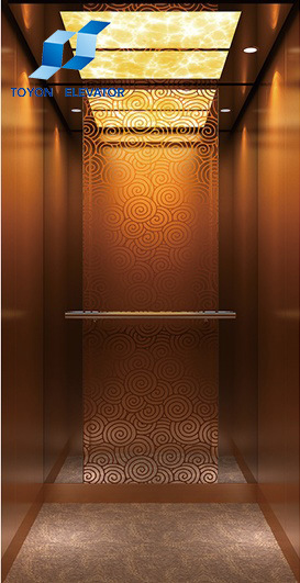 Toyon Gearless Passenger Elevator and Home Elevatorfrom Professional Manufacturer Image1