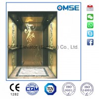 Small Machine Room Passenger Elevator Made in China