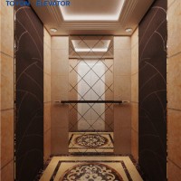 450~1000 Kg Machine Room Passenger Elevator Competitive Price Passenger Lift with Professional Solut