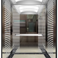 Safe and Stable Home Passenger Lift