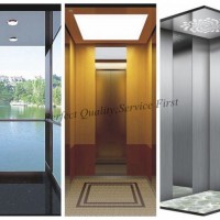 Hot Sale 0.4m/S Passenger Lift Home Lift Without Machine Room
