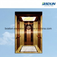630kg Titanium Passenger Elevator with Handrail