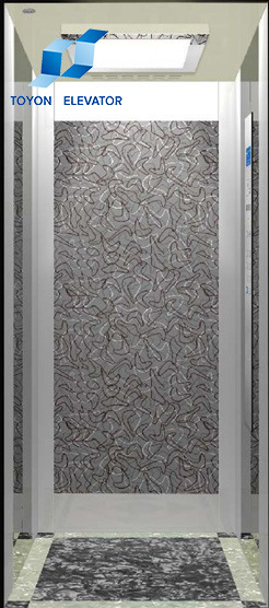 Toyon-Qualified Passenger Elevator and Home Lift with Stainless Steel Image1