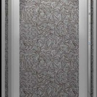 Toyon-Qualified Passenger Elevator and Home Lift with Stainless Steel