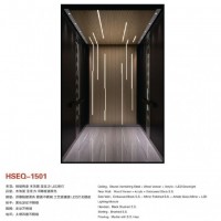 Luxury Passenger Elevator