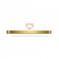 Machine Roomless Passenger Elevator Lift with Stainless Steel Handrail (SN-CH-712)