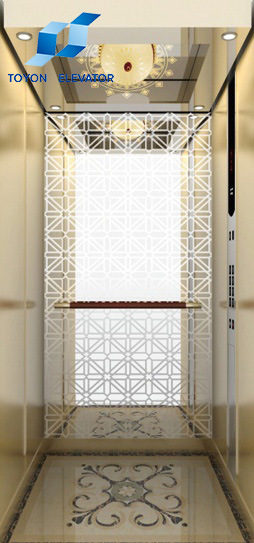 Toyon China Passenger Elevator with Hairline Stainless Steel Image1