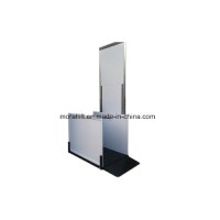 New Style Disabled Passenger Lift