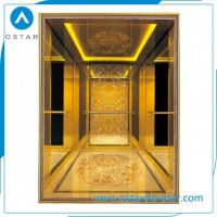China Manufacture 6 Persons Passenger Elevator for Residential Building