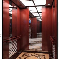 Srh Hailine S. S. Finished Passenger Elevator (GRPS20)