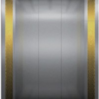 Standard Cabin Decoration for Passenger Elevator