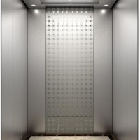 Stainless Steel Passenger Lift Passenger Elevator (16K028)