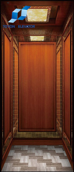 Toyon -Advanced Energy-Saving and Safety Passenger Elevator and Passenger Lift Image1