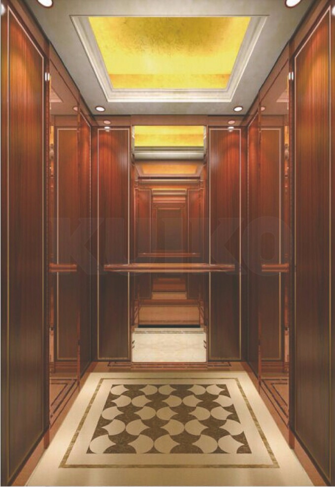 Hotel Car Elevator for Passenger Image1